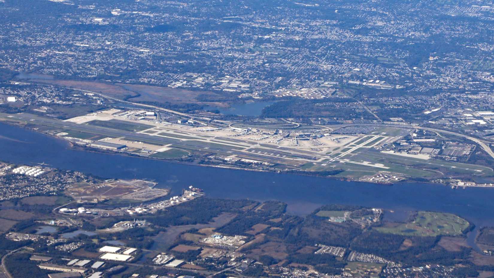 Bald Eagle Flies Economy With Delta, Takes Up 2 Seats For America's 250th
