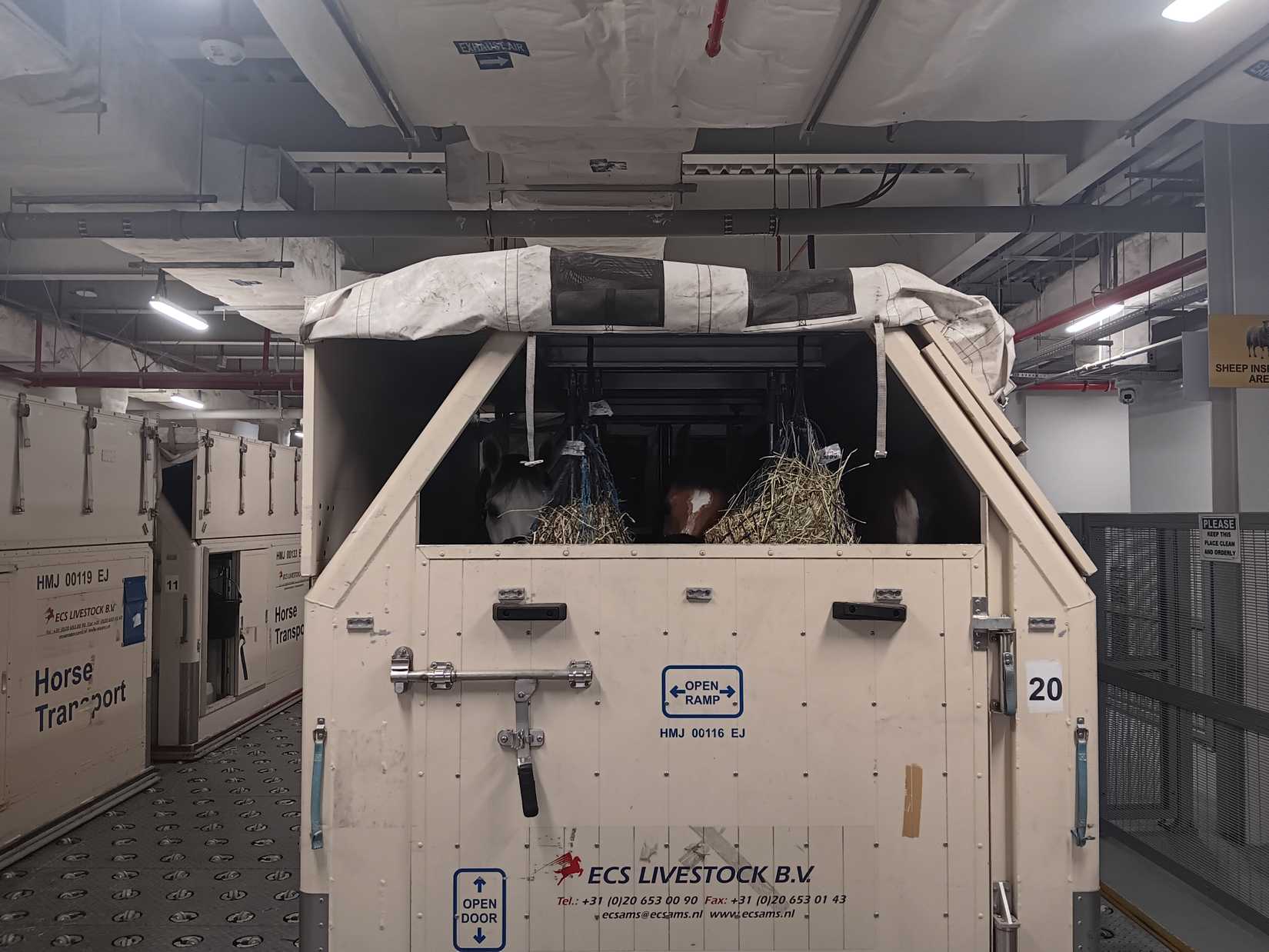 Qatar Airways Boeing 777F Horse Freight