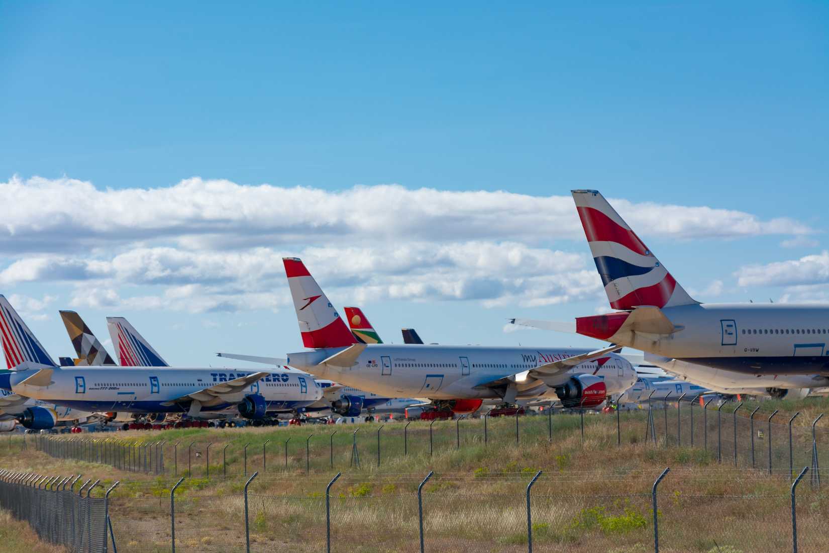 shutterstock_2077019575