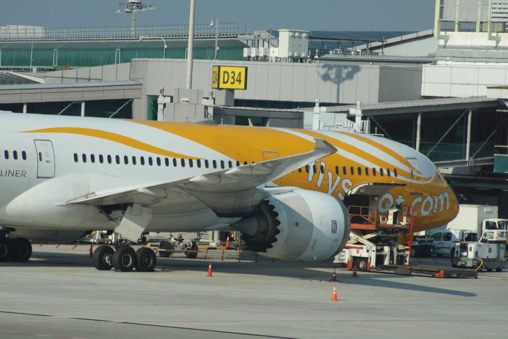 Scoot Boeing 787 Parked
