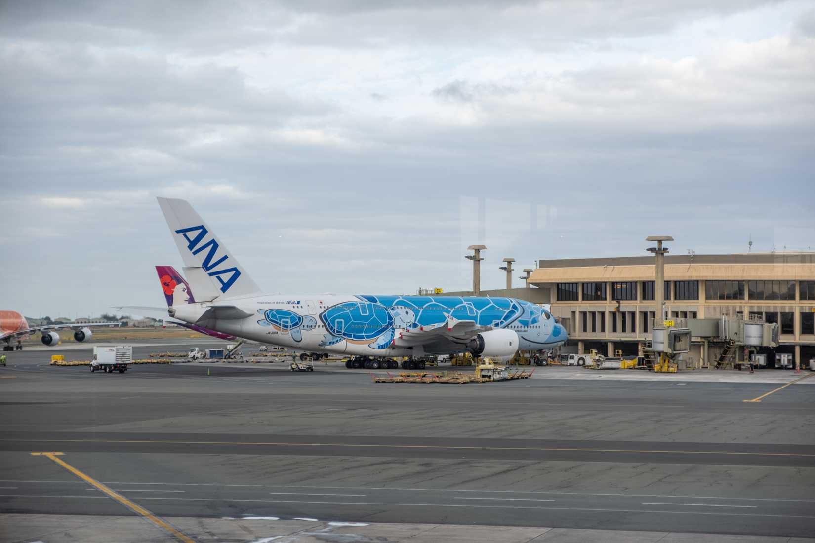 ana jet honolulu airport
