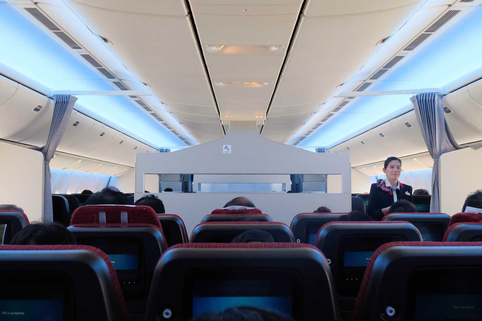japan airlines cabin