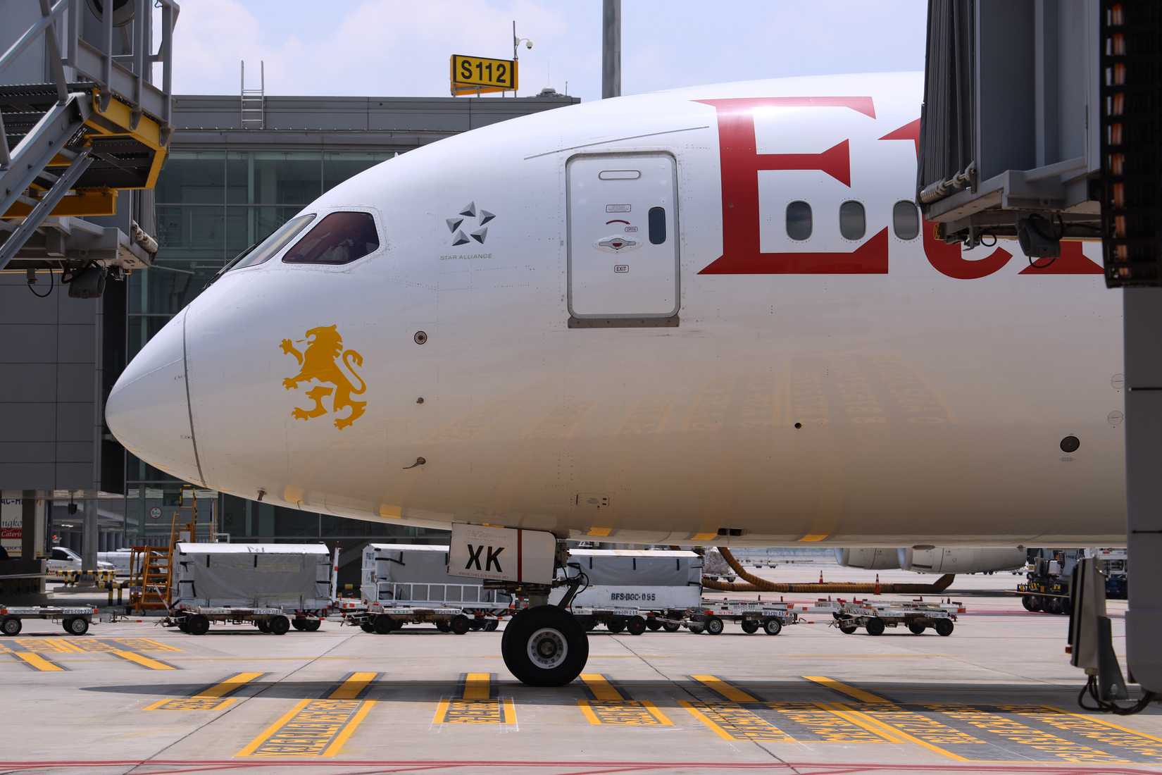 Ethiopian Airlines 787 at the gate