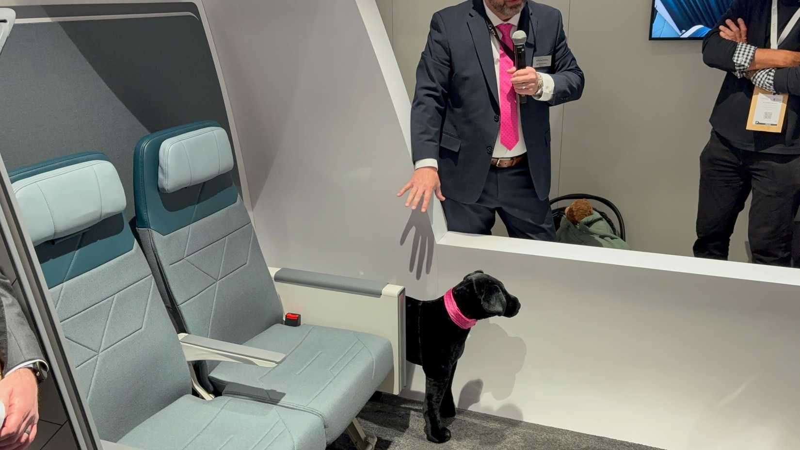 Collins SkyNook Demo