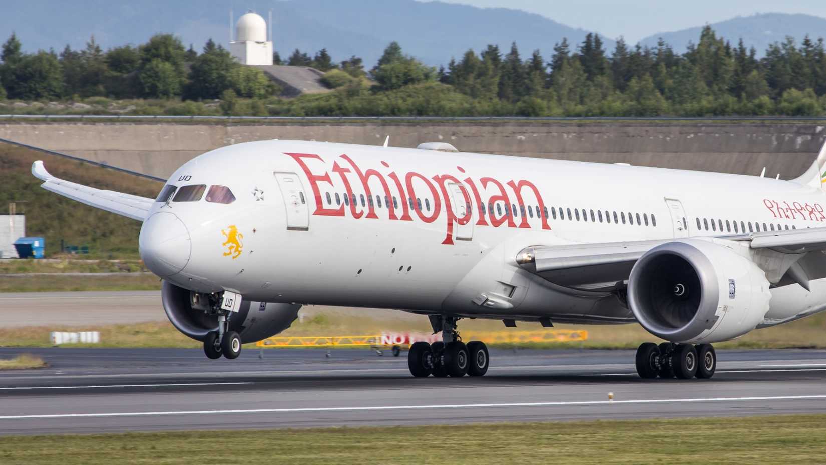 Ethiopian Airlines 787 Landing Closeup