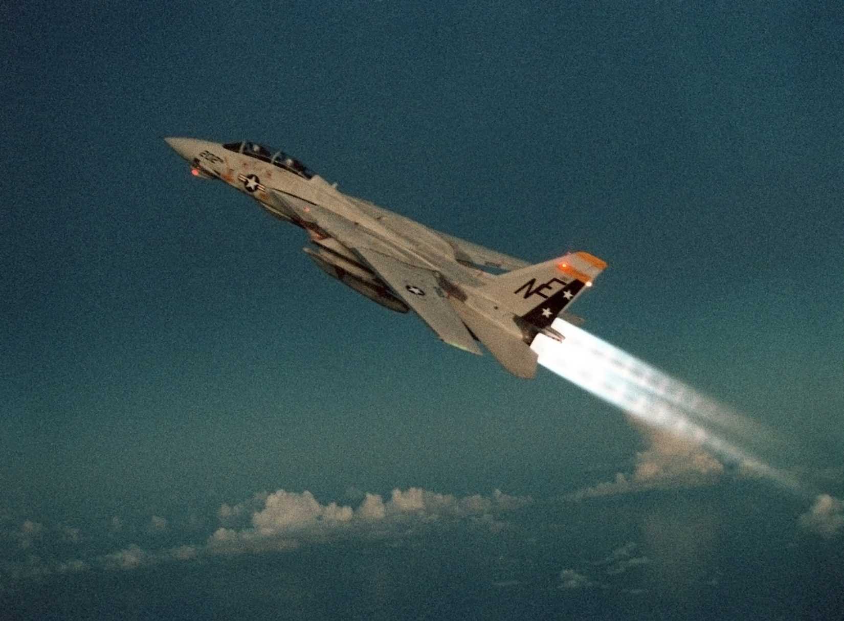 Grumman F-14 Tomcat Climbing