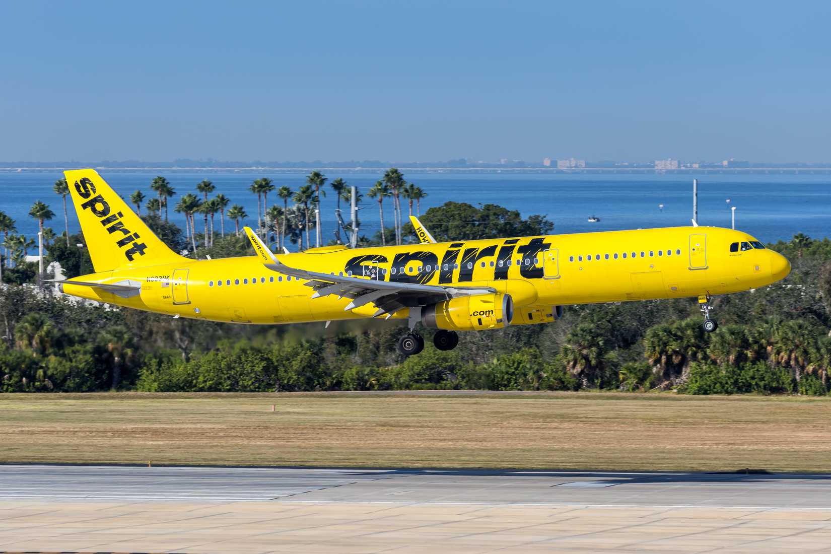 Spirit Airlines Airbus A321 airplane at Tampa airport in the United States.