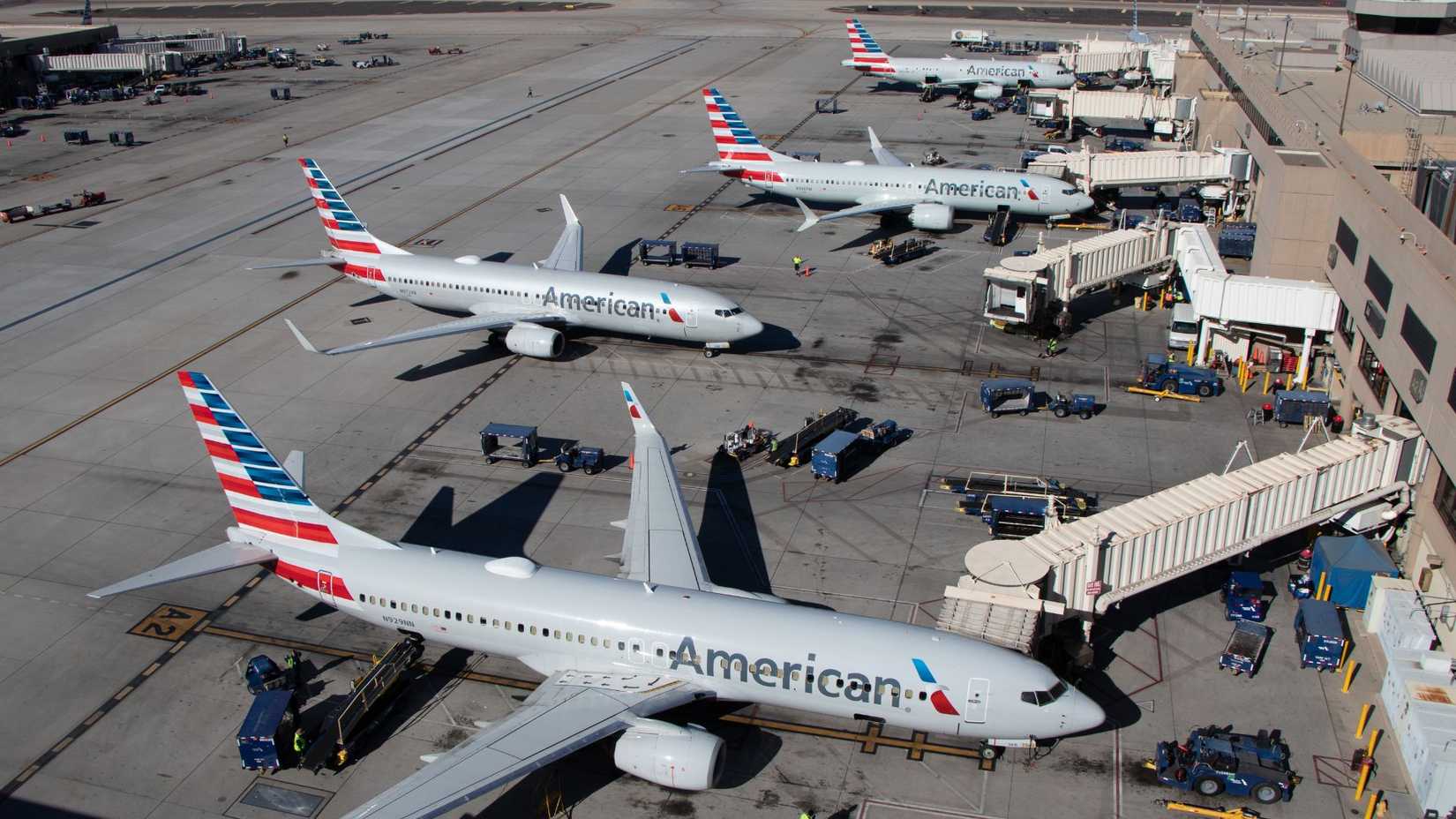 American Airlines 737s At Gates