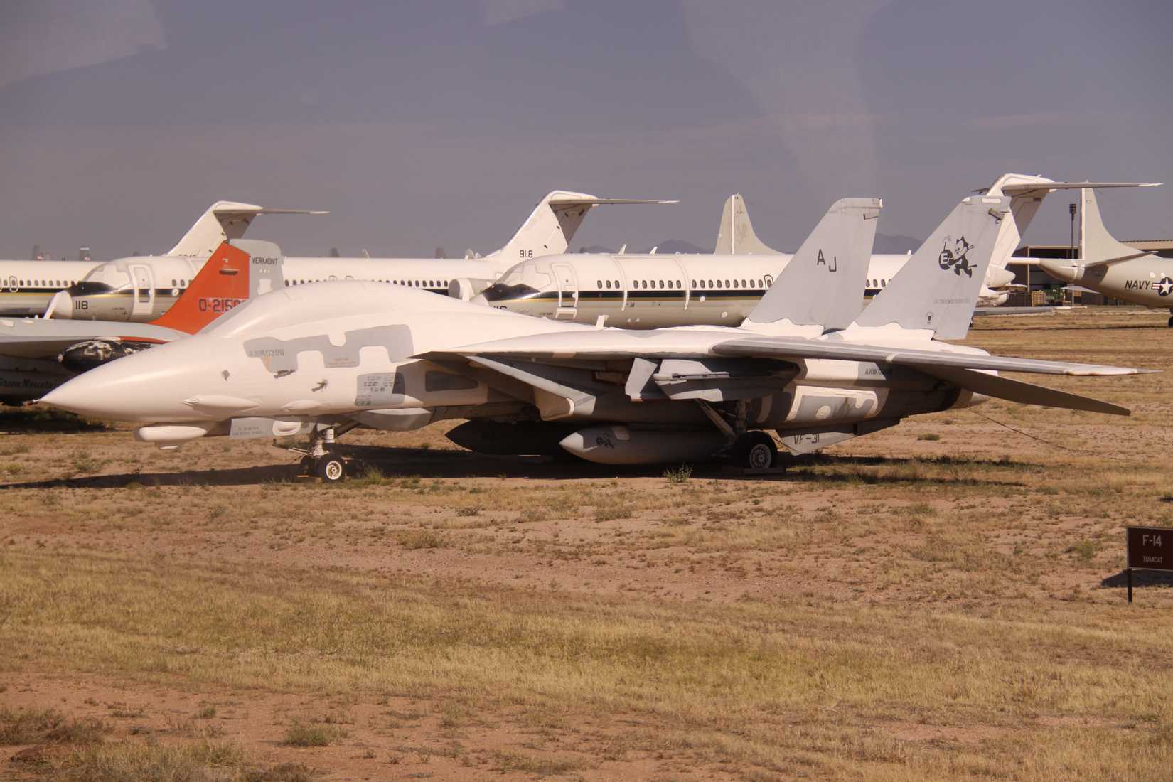 BuNo 164341 Grumman F-14D Tomcat of US Navy preserved in a dessert. Photo by aeroprints.com