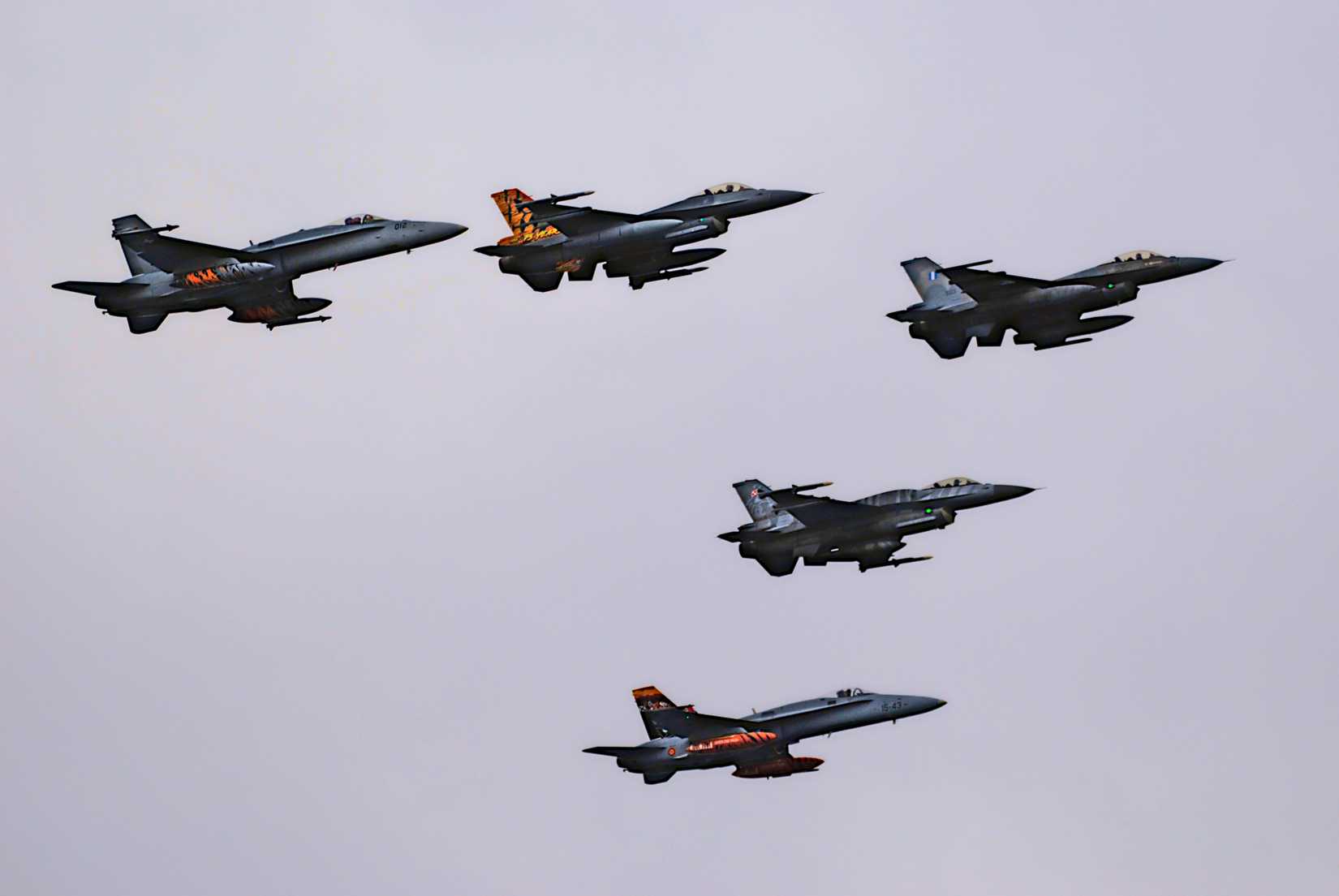 DSC_0374tigerformation1