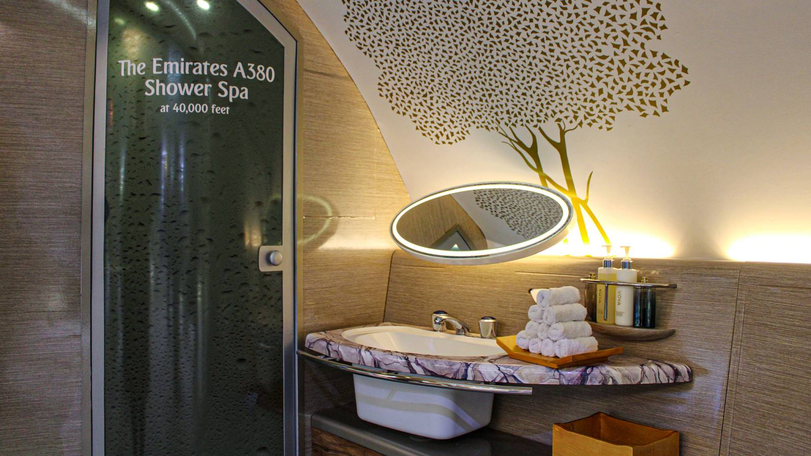 Emirates Wants Private Bathrooms At 40,000 Feet: Here's The Engineering ...