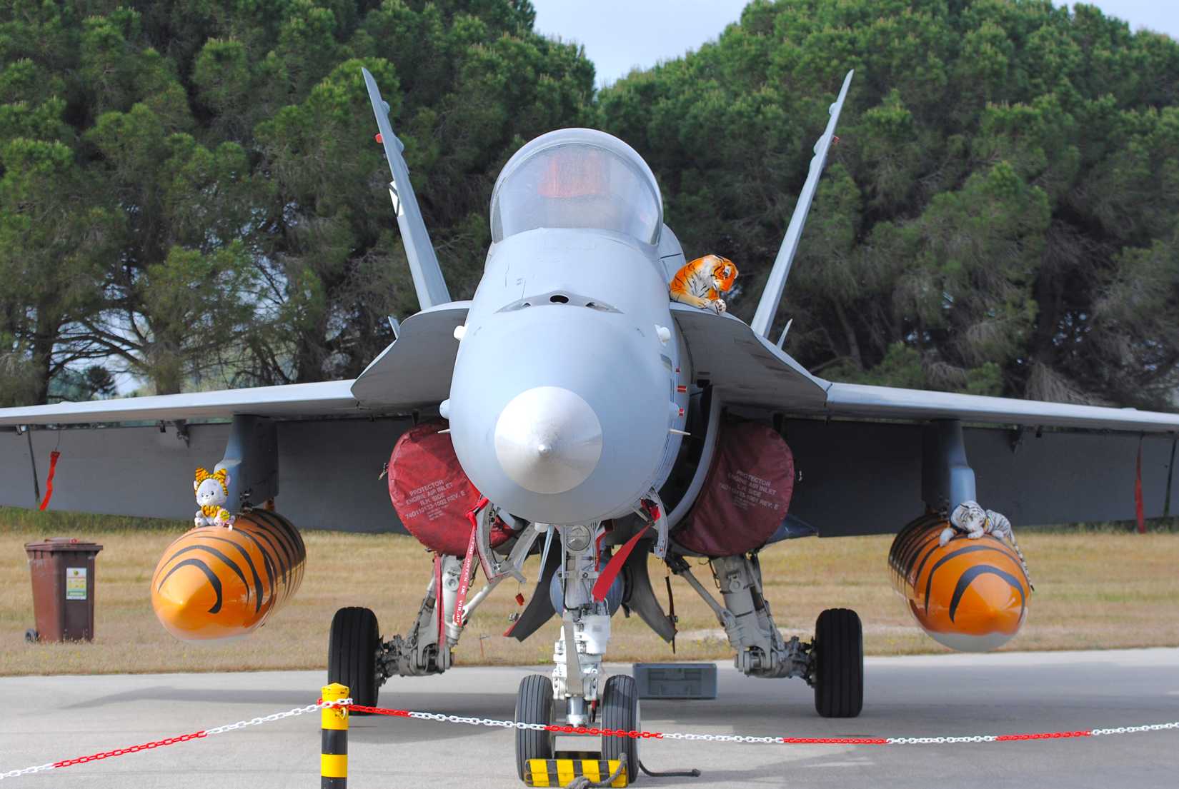 Spanish F-18 at NATO Tiger Meet 2026, Araxos, Greece