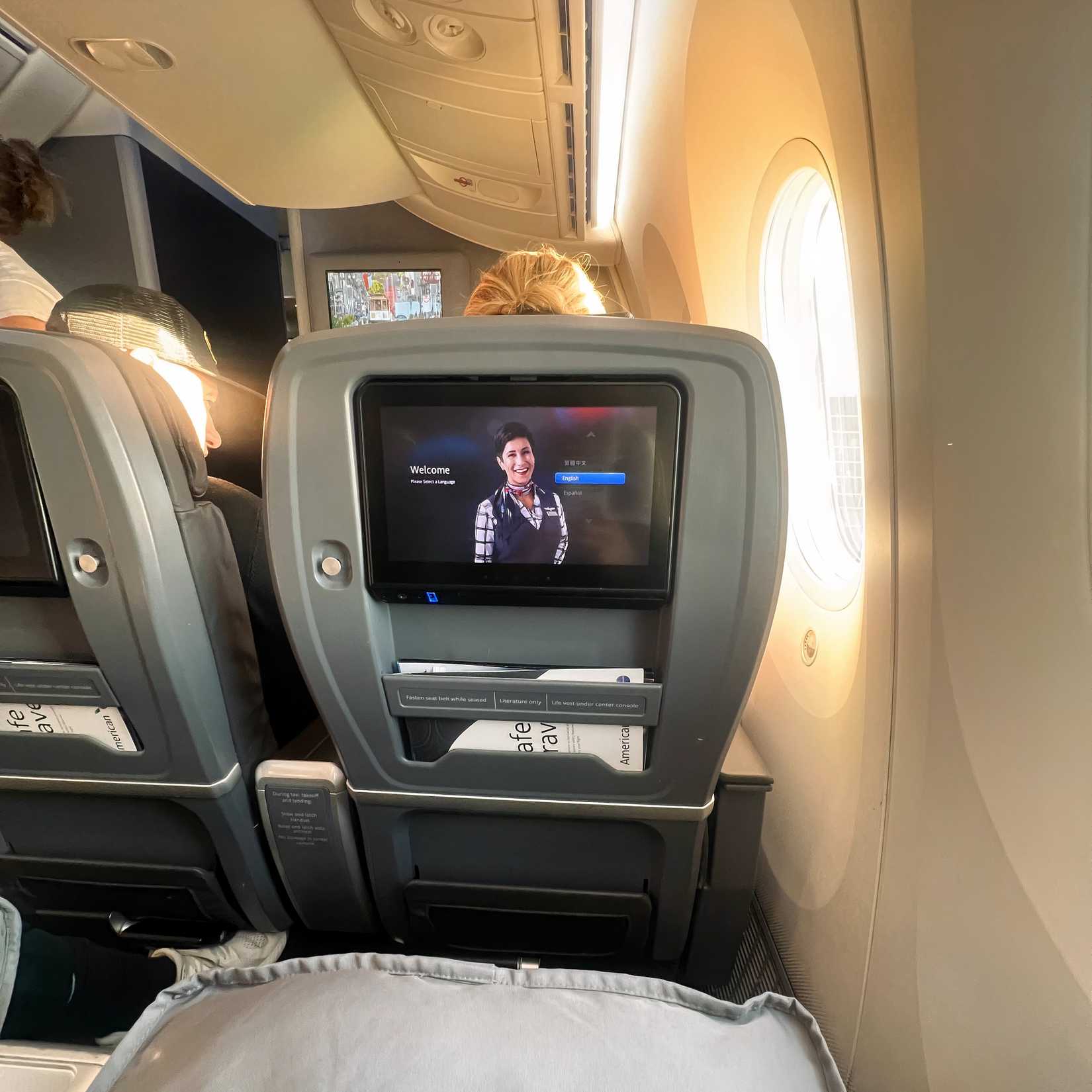 American Airlines Boeing 787-8 Premium Economy