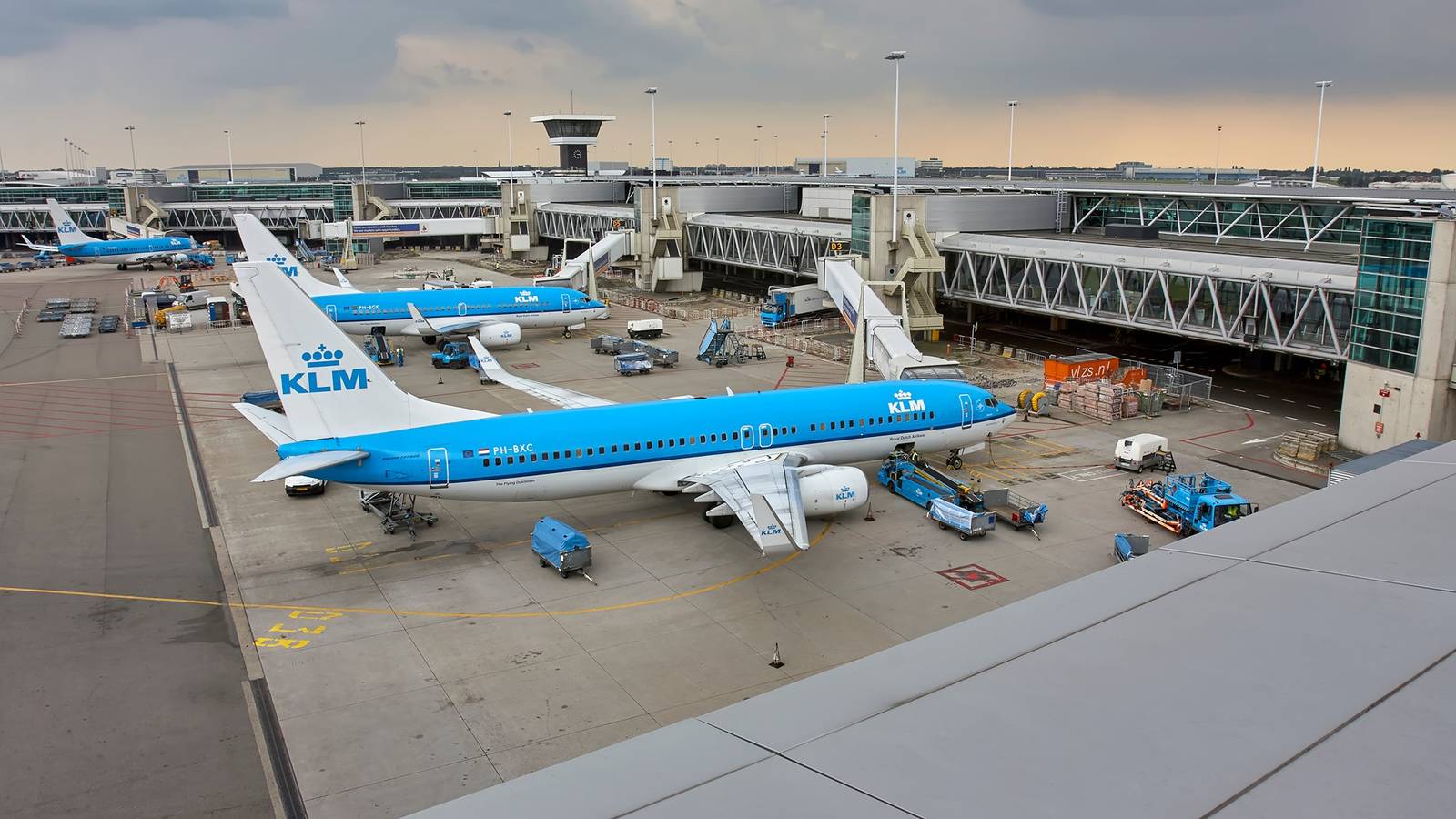 Too Sick To Fly: Flight Attendant Hospitalized After Hantavirus-Infected Woman Dies