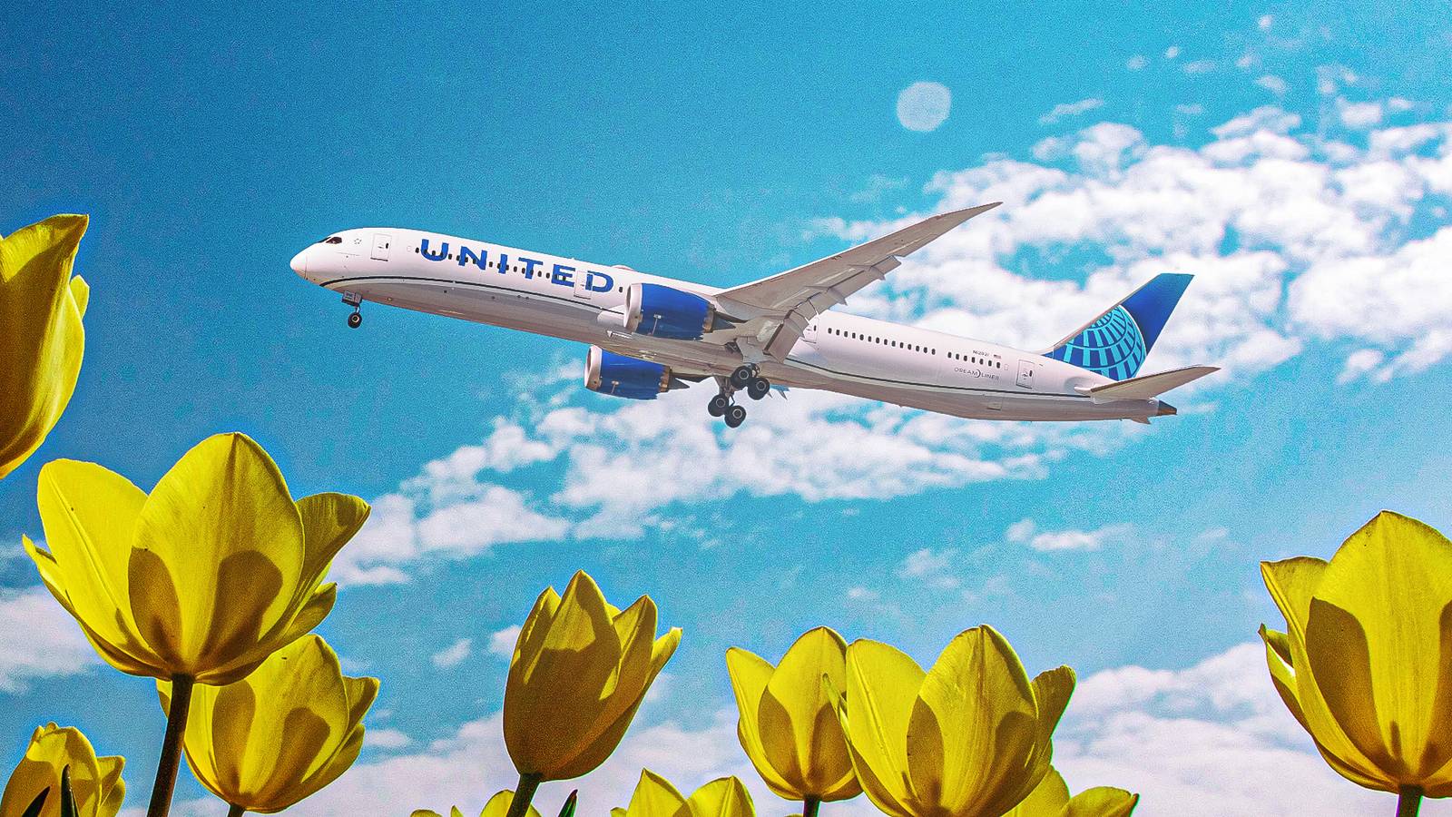 United's SFO Hub Expands: 19 Exciting Asia-Pacific Destinations Now Within Reach