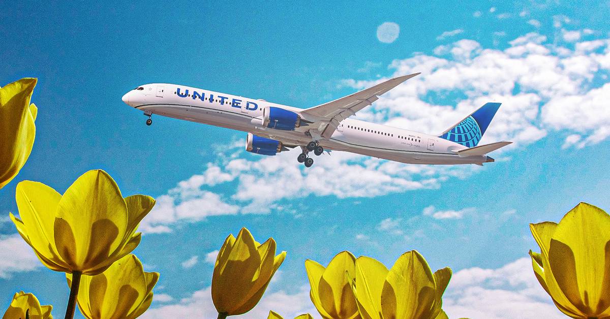 Was United Airlines Right To Put 99 Premium Seats On Its Boeing 787-9s?