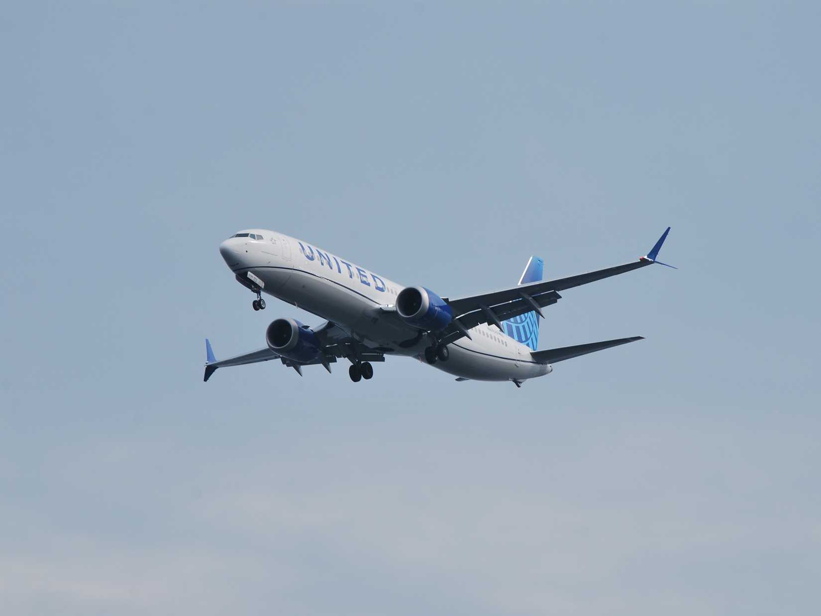 United 737 Inflight