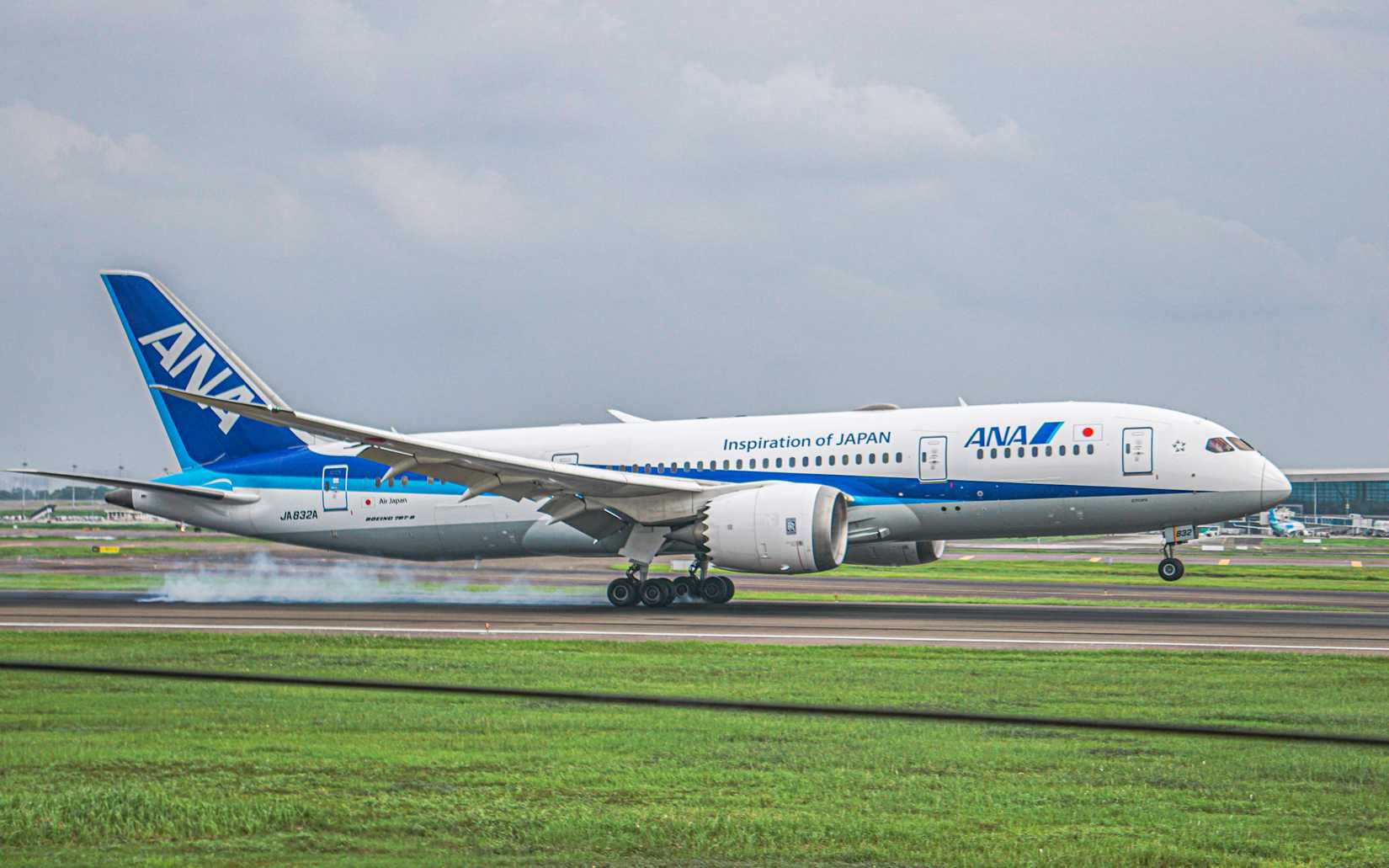 ANA Boeing 787-8 Landing