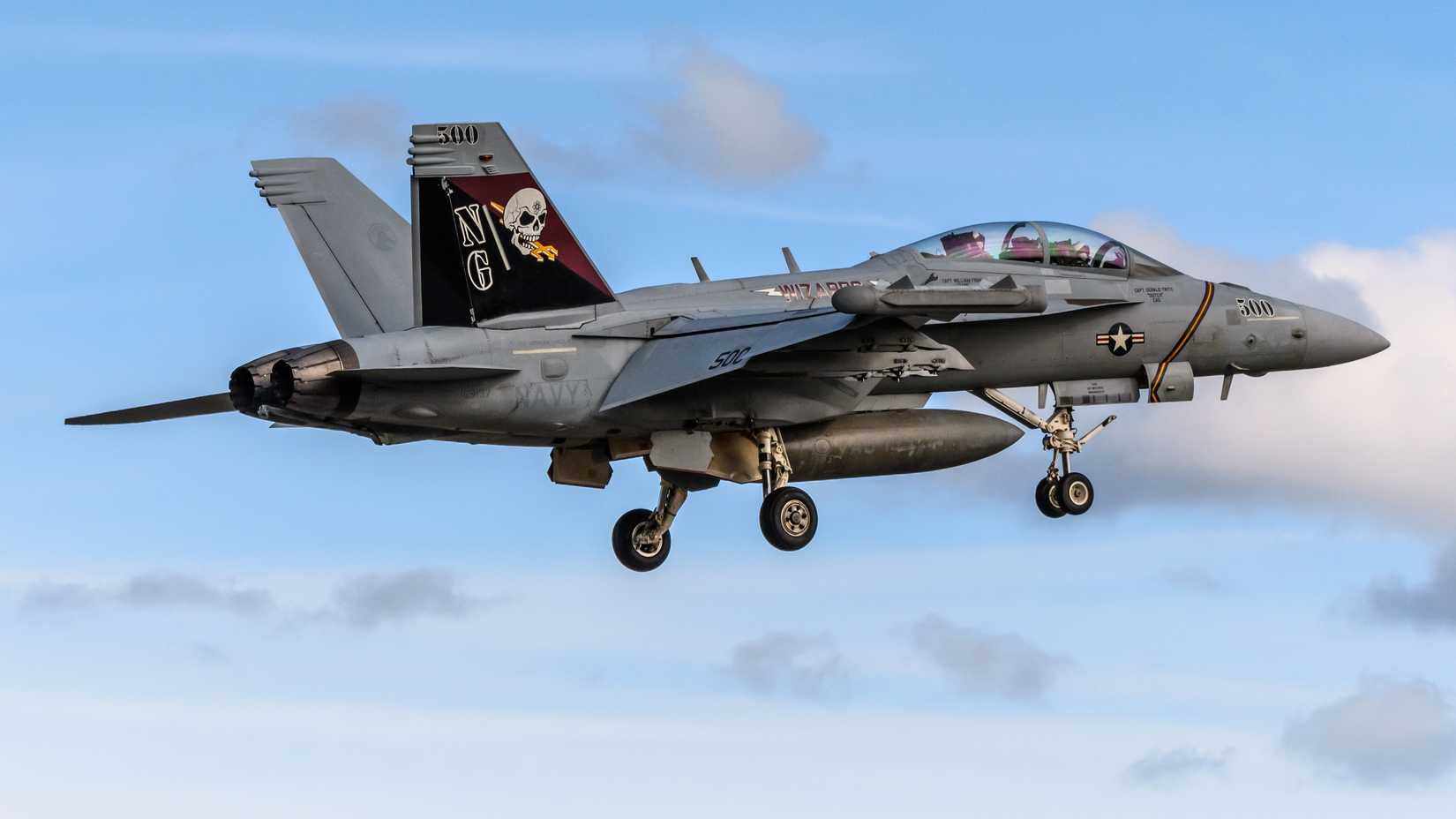 VAQ-133 WIZARDS CAG BIRD WITH GEAR DOWN