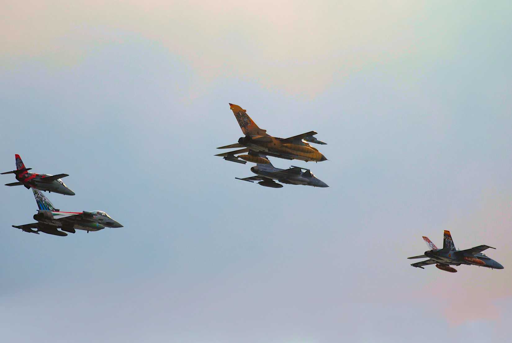 Tiger Formation 2026
