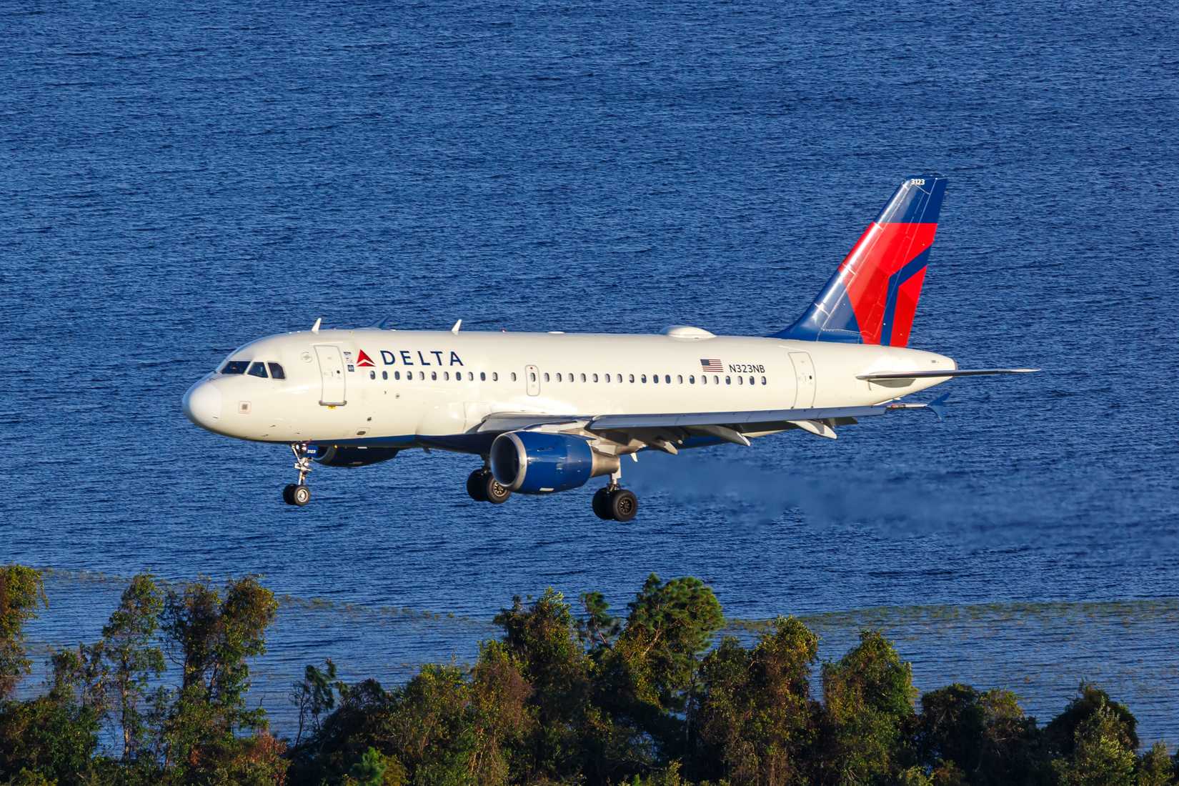 Aerial view photo of Delta Air Lines Airbus A319 airplane.
