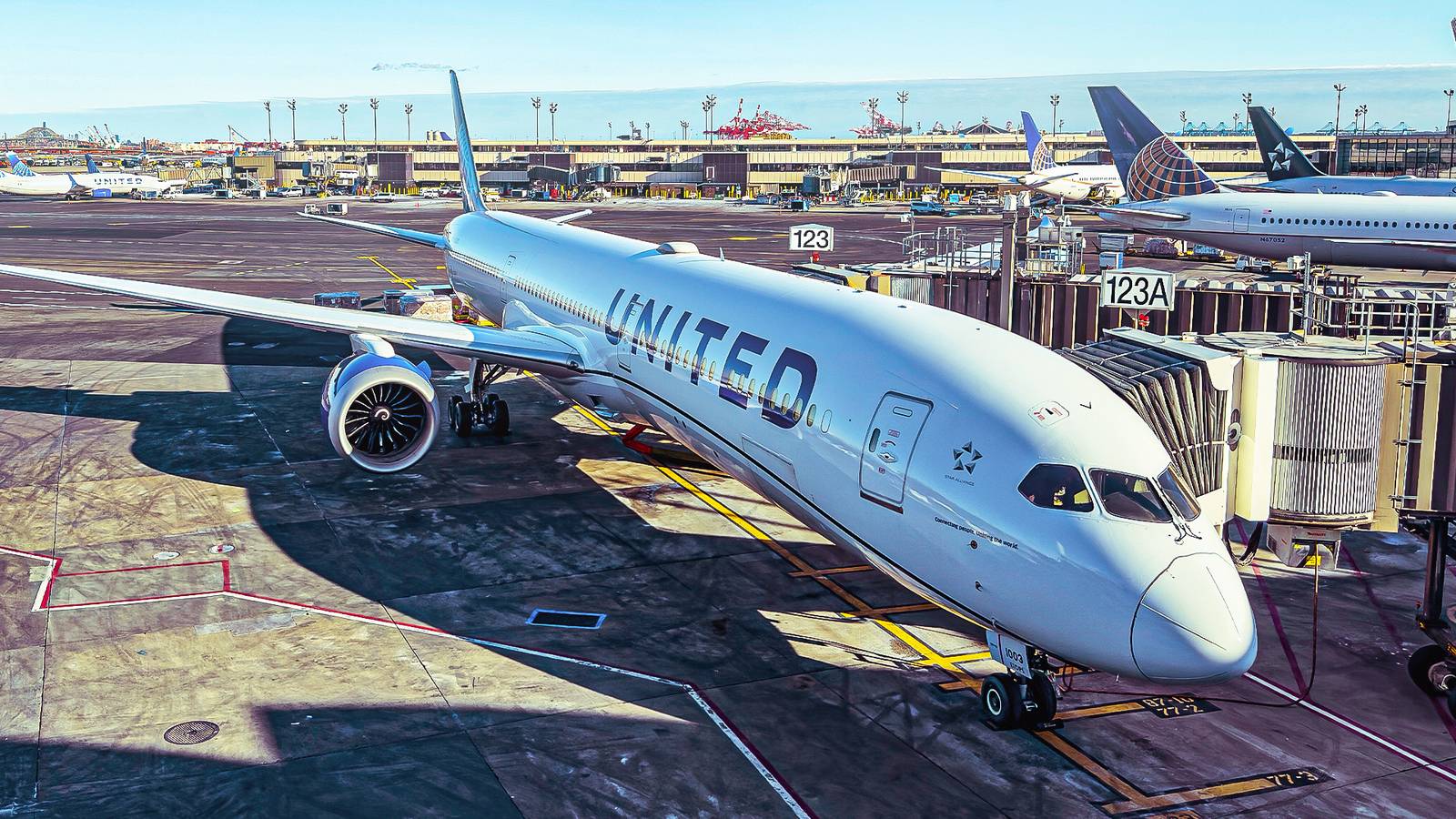 Why United Airlines Bought The Shorter-Range Dreamliner For Its 6,306 ...