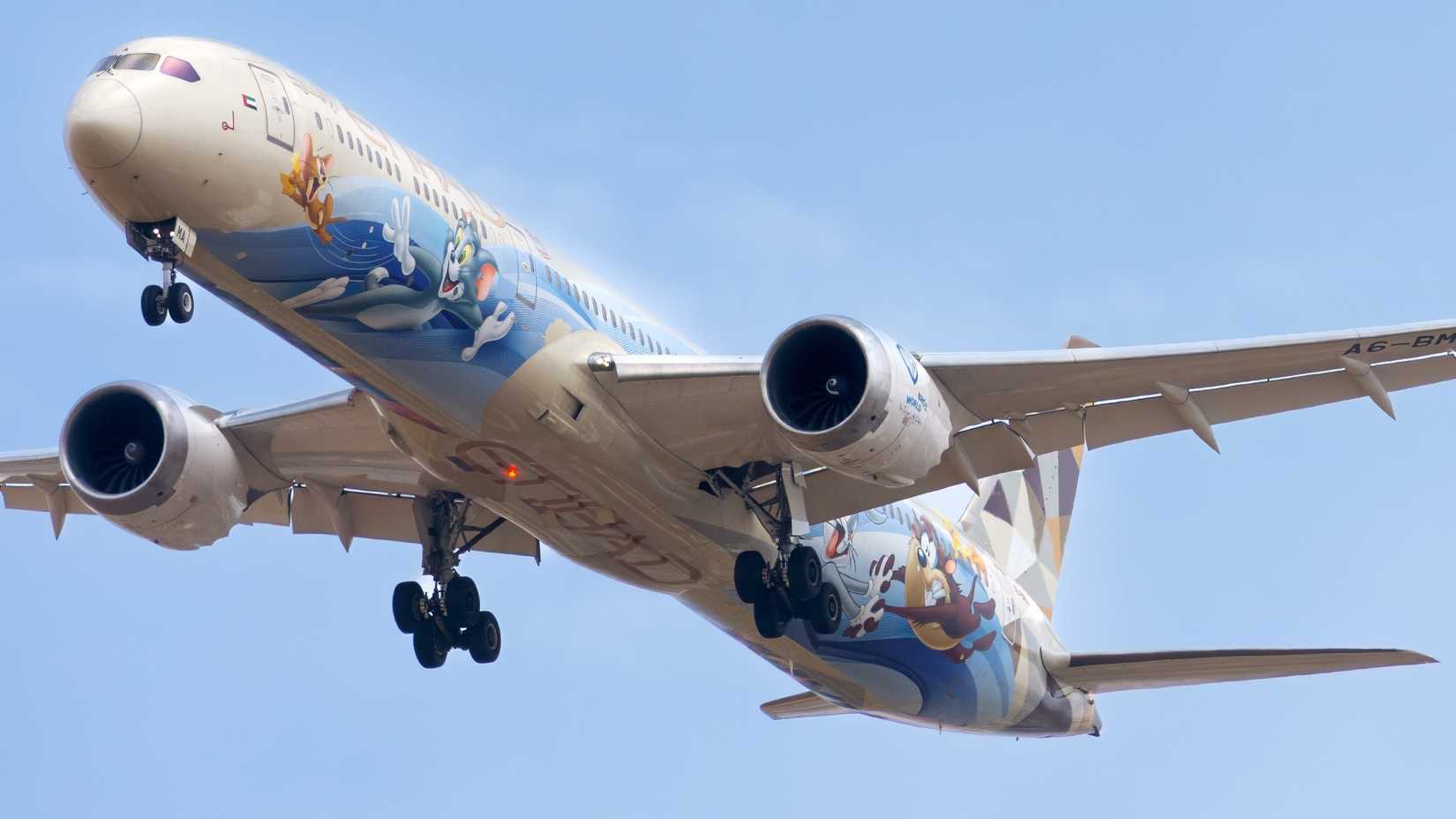 Etihad Airways Boeing 787-10 in the Warner Brothers World Abu Dhabi theme park special livery, seen landing at Tel Aviv Ben Gurion.