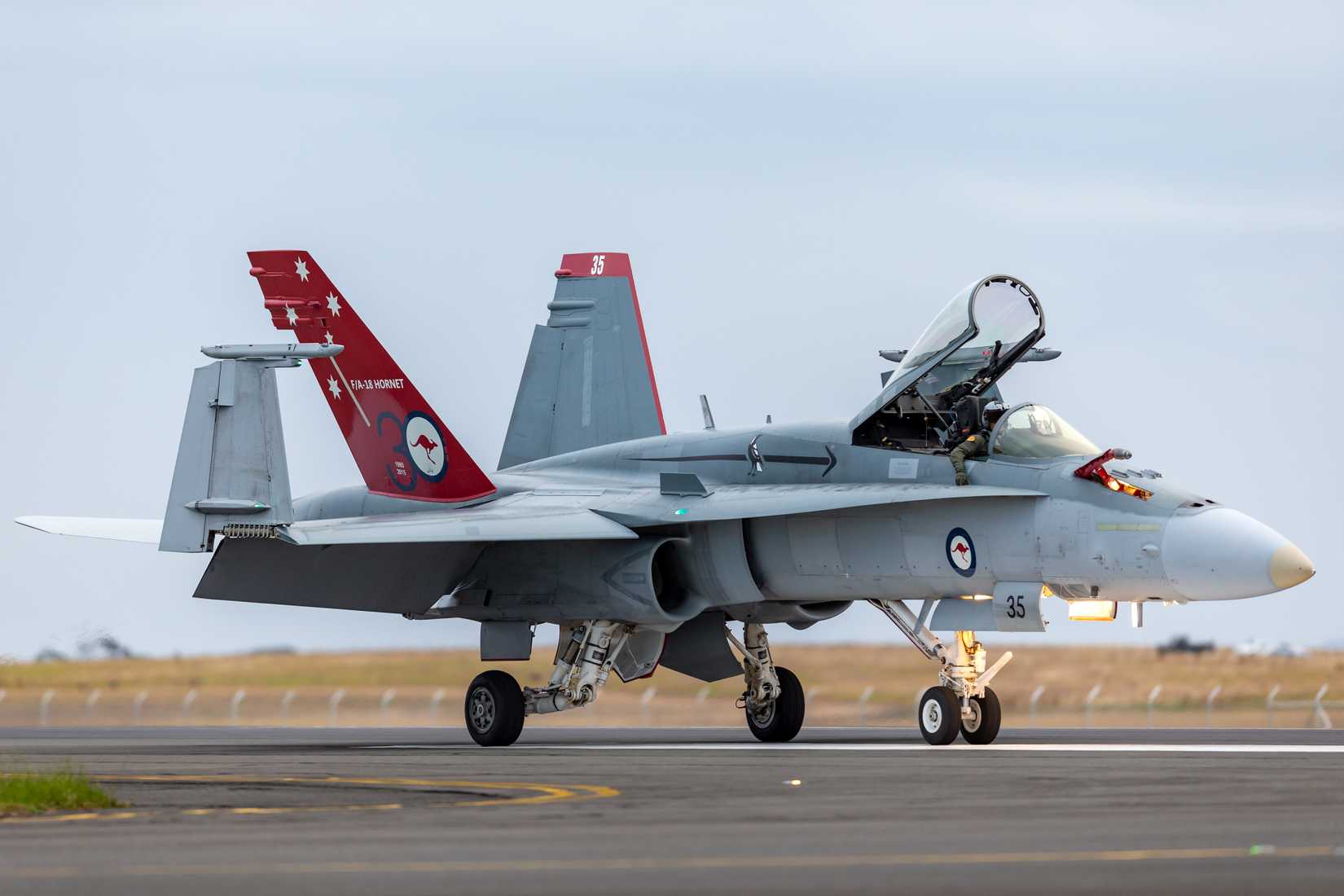 Avalon, Australia - February 27, 2015: Royal Australian Air Force McDonnell Douglas F/A-18A Hornet  with a specially marked tail to commemorate the 30th anniversary of F/A-18 operations by the RAAF.