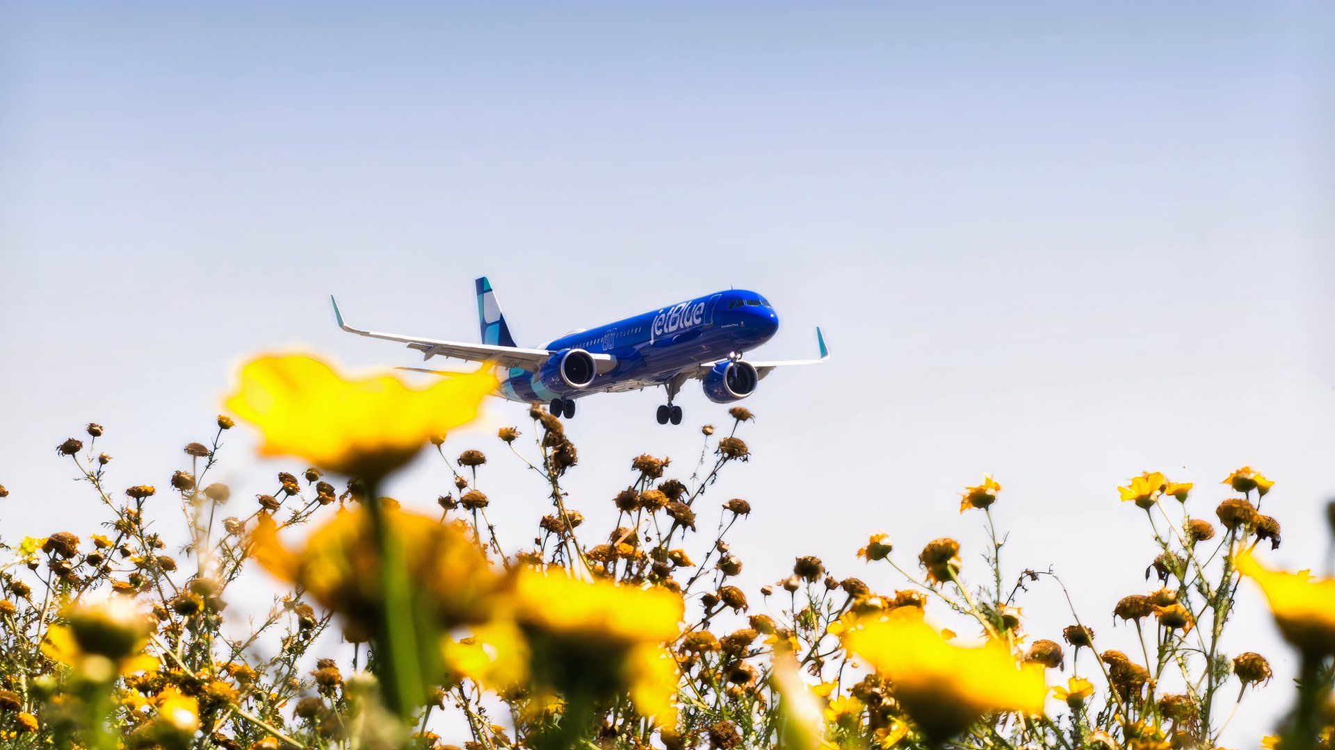 JetBlue Newark Havalimanı'ndaki Operasyonlarını Gözden Geçiriyor