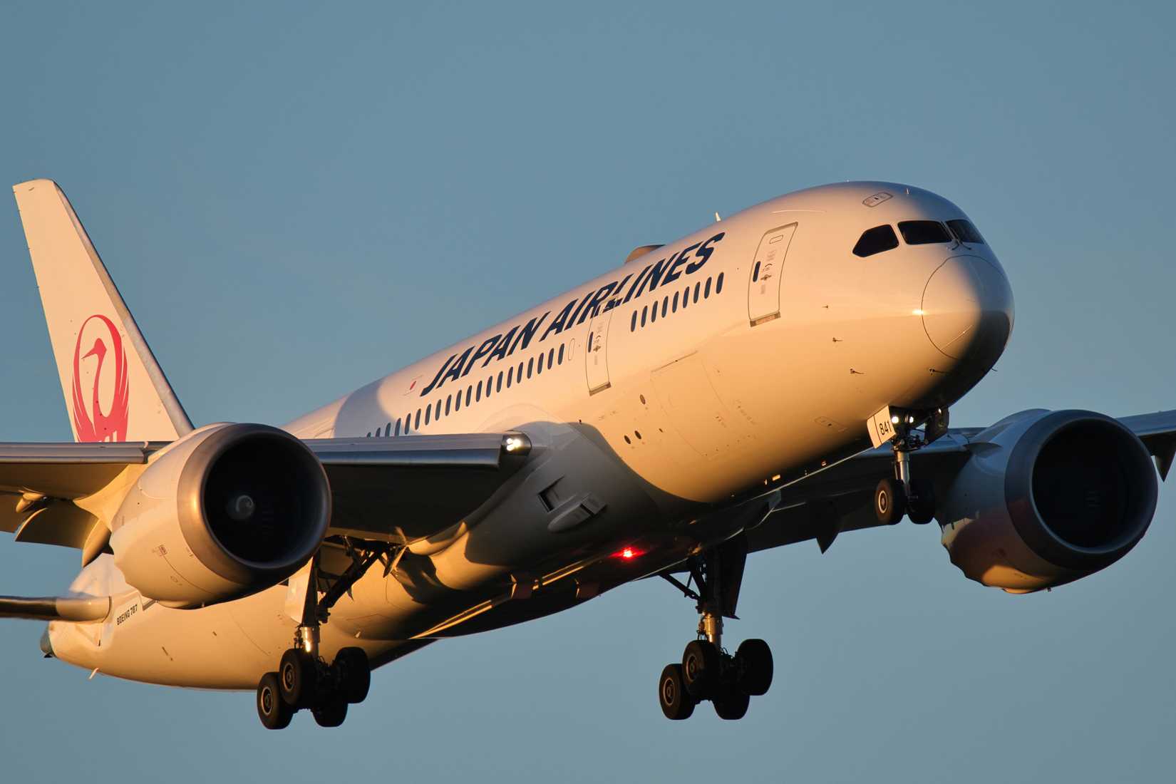 Jal Boeing 787-8