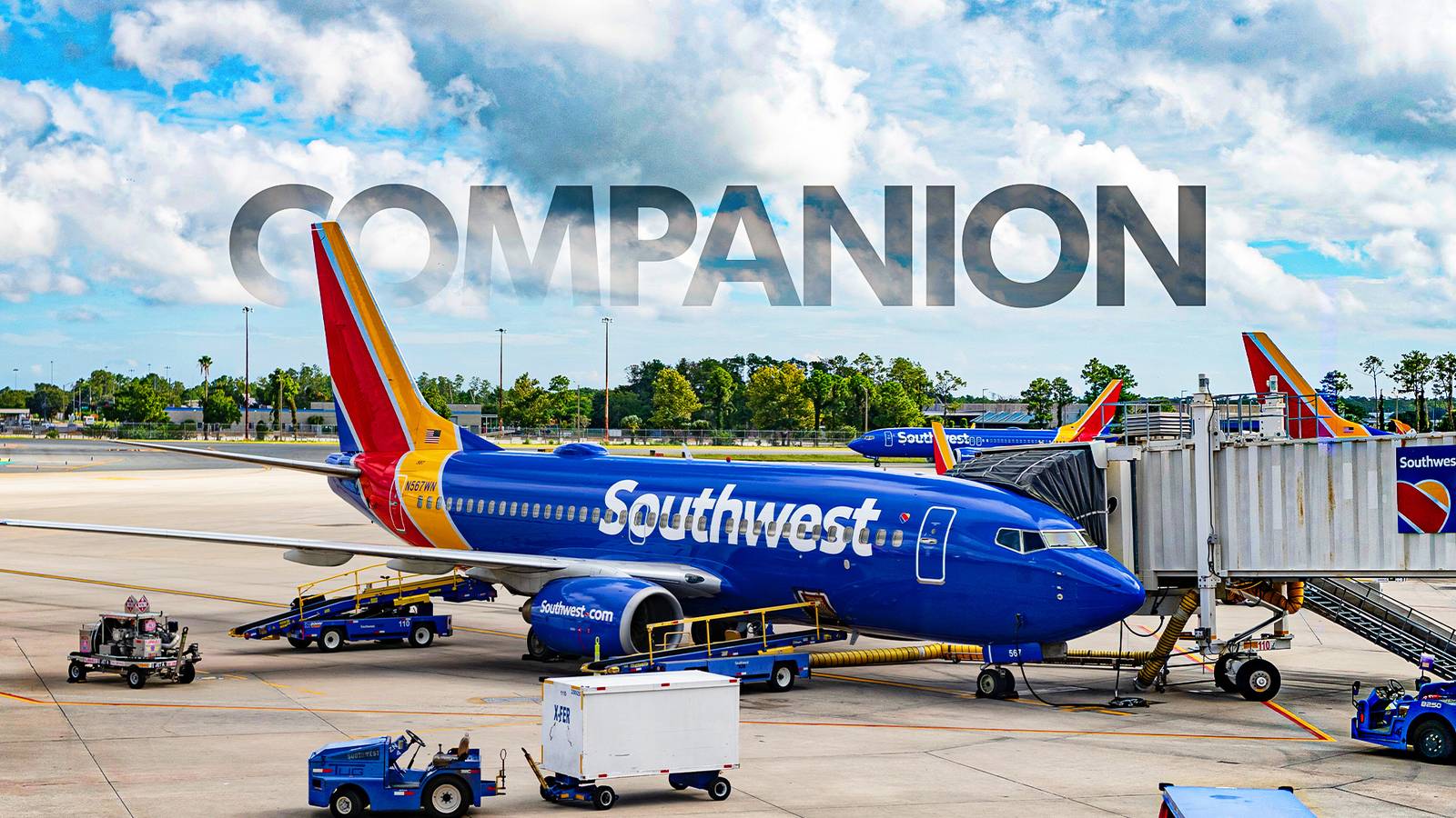 Basic Action Log Is It True That Earning Southwest Airlines' Companion Pass By Flying ...