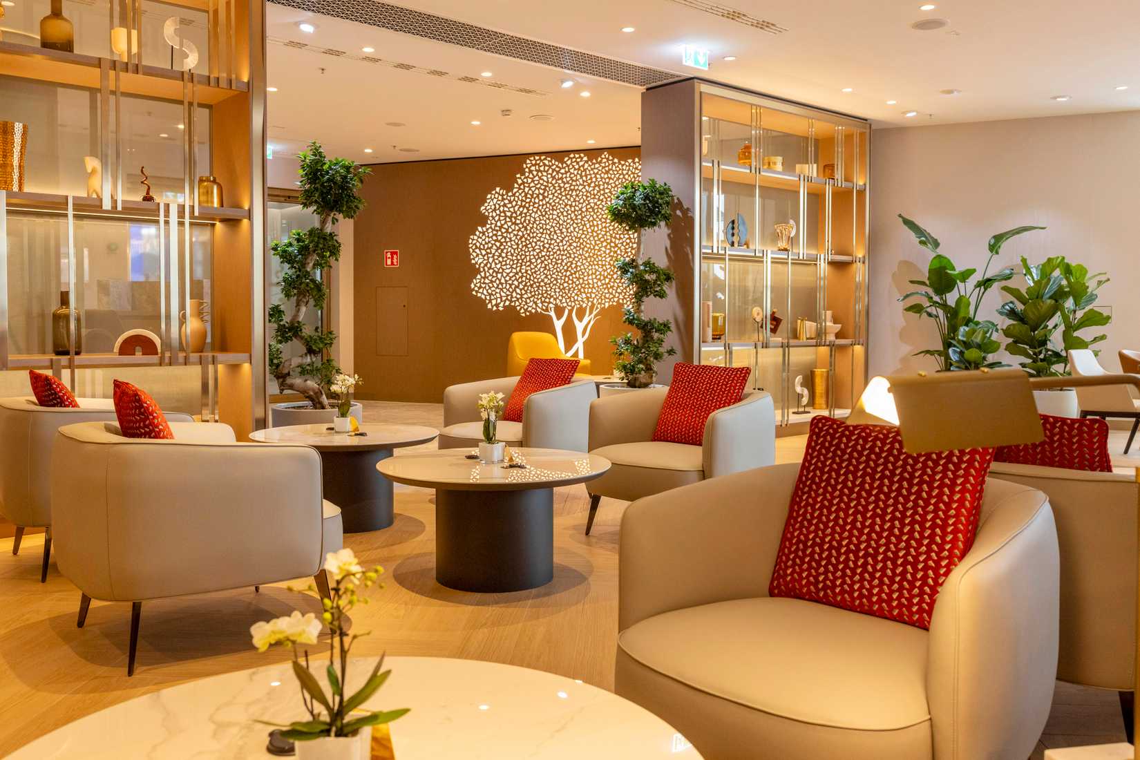 Emirates lounge ghaf tree Emirates