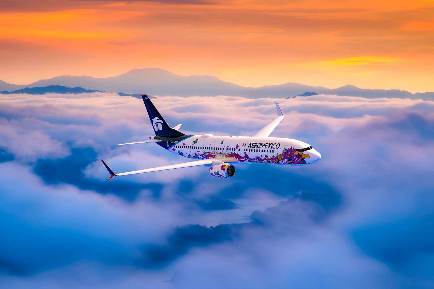 Aeromexico 737 Inflight Rendering