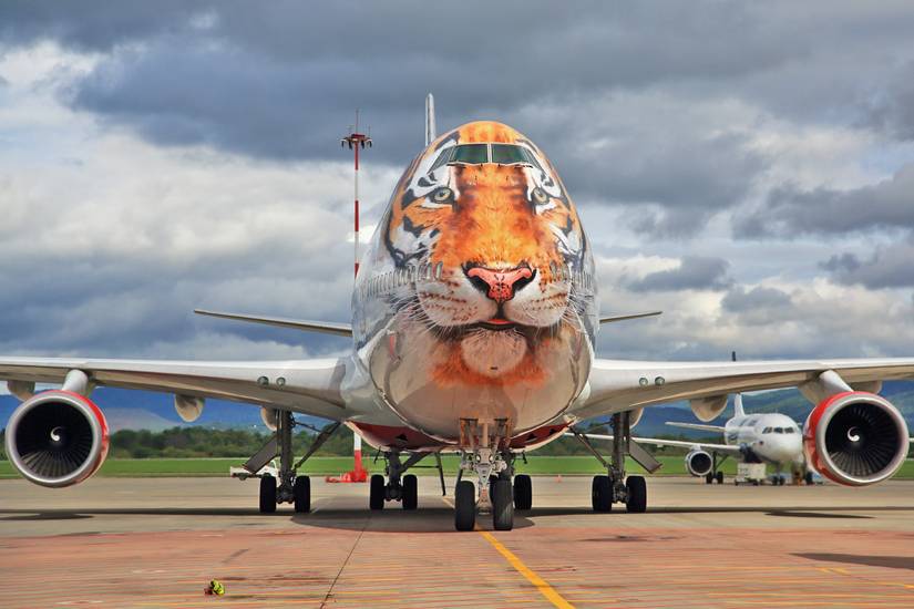 Rossiya_-_Russian_Airlines_(Caring_for_Tigers_together_livery),_Boeing_747-446,_EI-XLD_(29026132433)