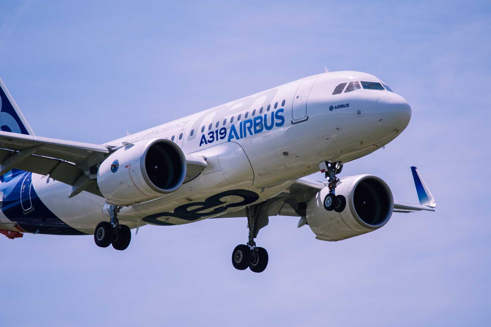 Airbus A319neo On Approach