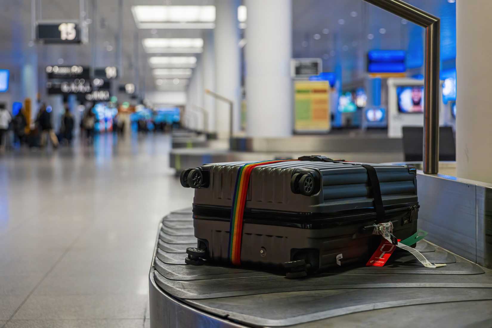 Bag On Reclaim Belt