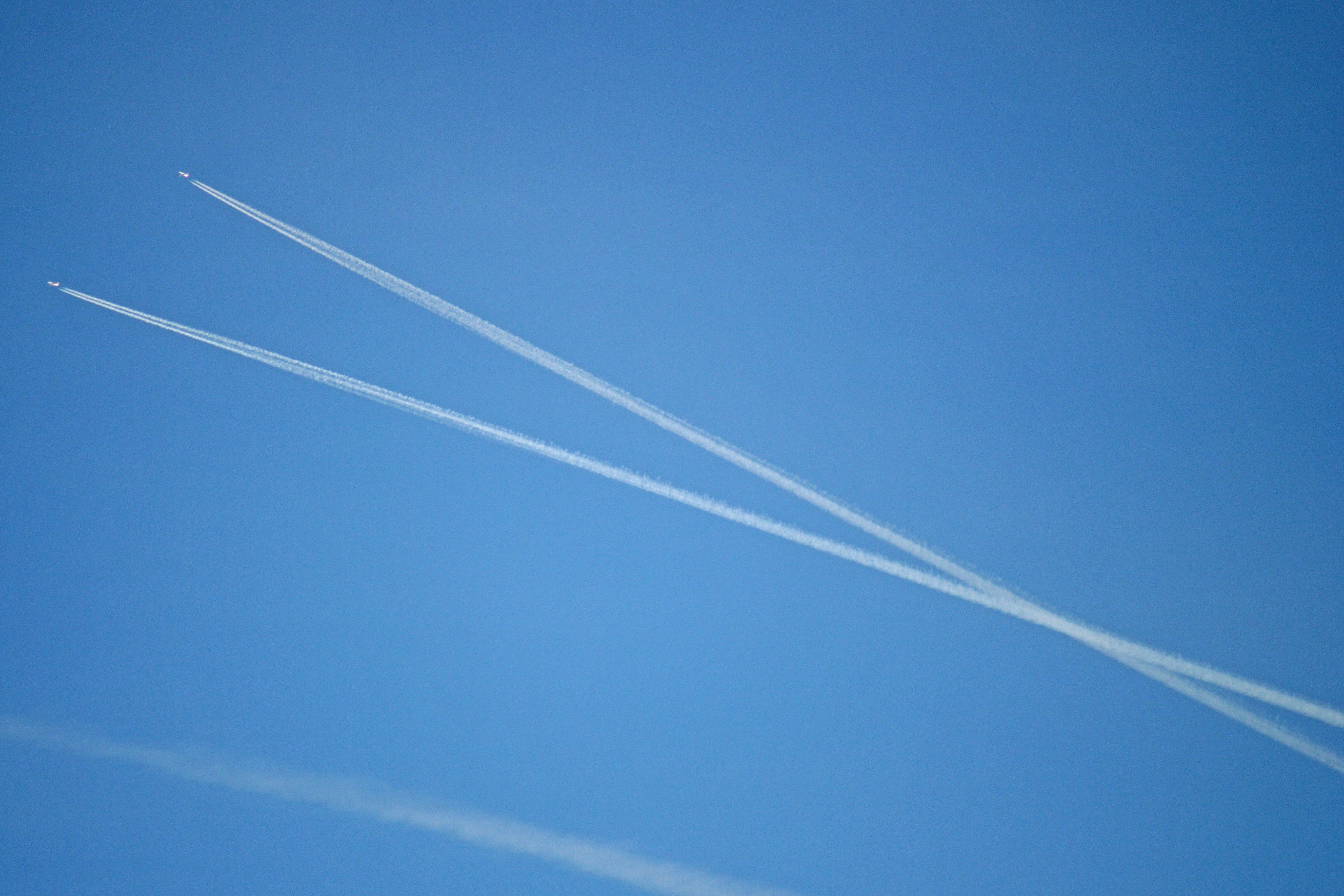 Crossing_paths_(12329420045)