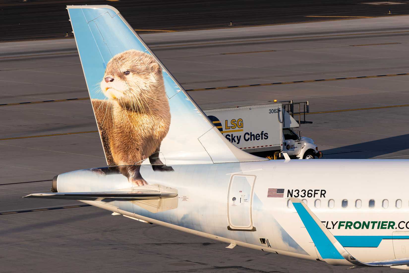 Frontier airlines plane tail