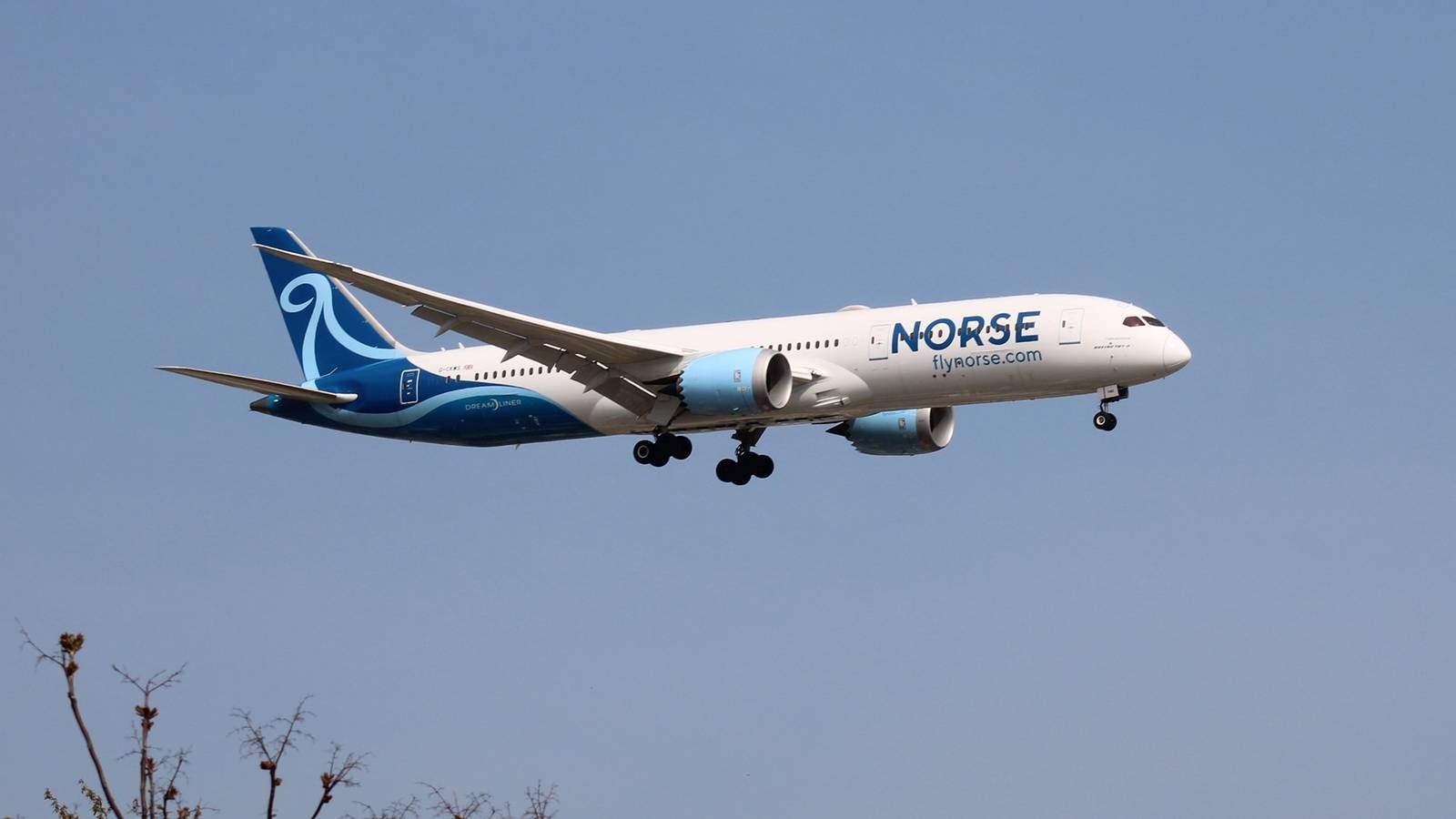 Norse Atlantic Avalia Alugar Boeing 787s a Aéreas Asiáticas Após Recuo da IndiGo