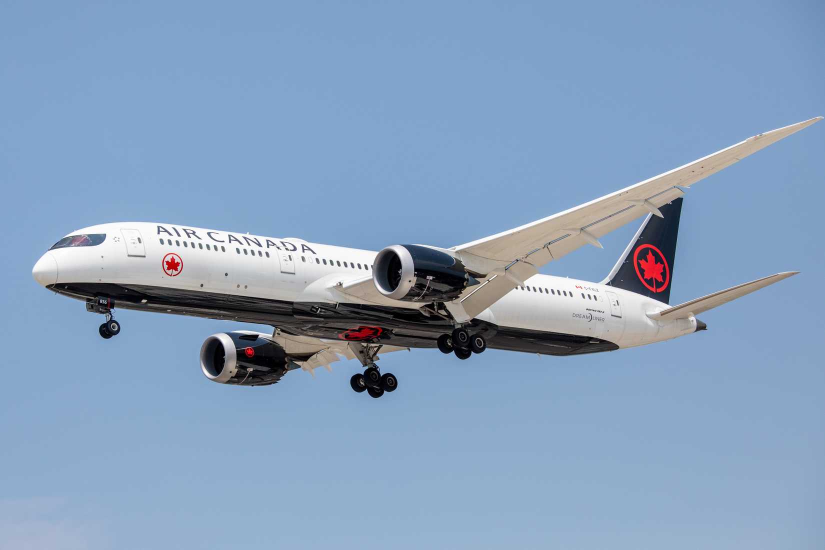 Air Canada 787 Inflight