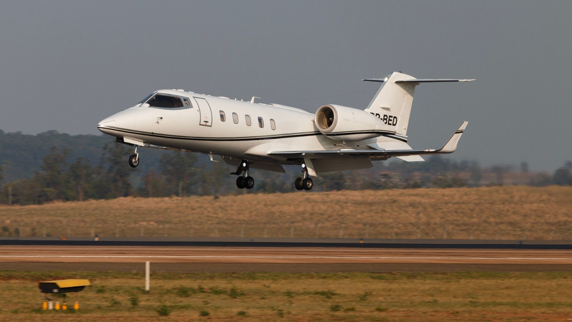 Caught On Camera: Car Slams Into Private Jet In Milan