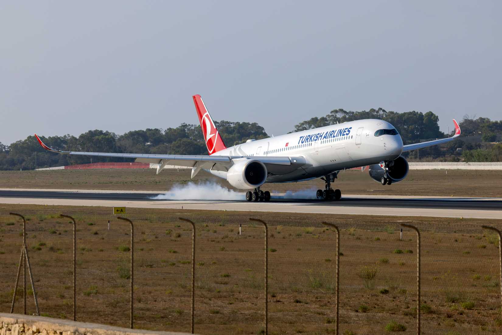 Turkish Airlines Airbus A350-900 landing