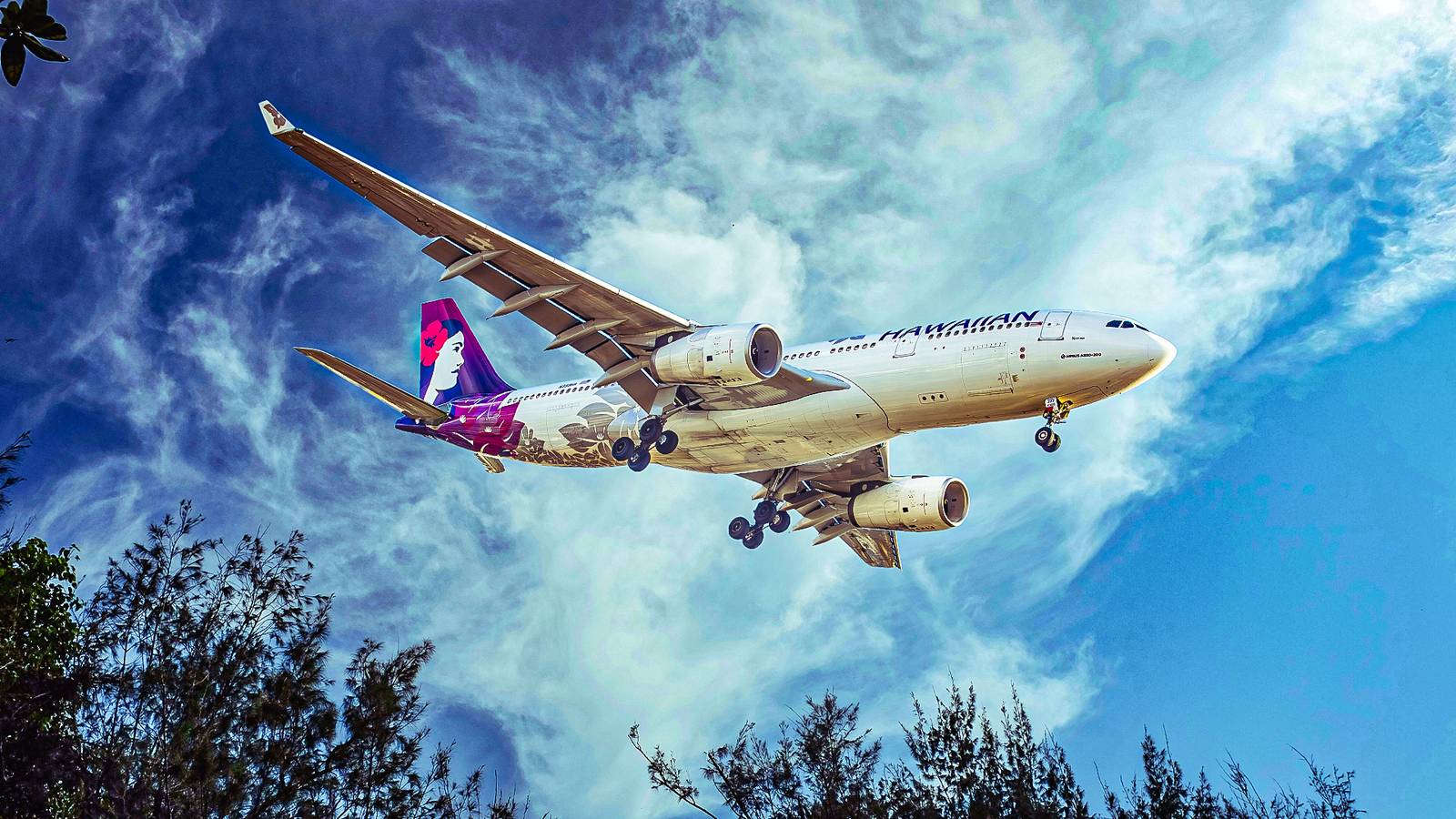 Hawaiian A330: Cheiro misterioso adoece 7 tripulantes em voo Los Angeles-Honolulu
