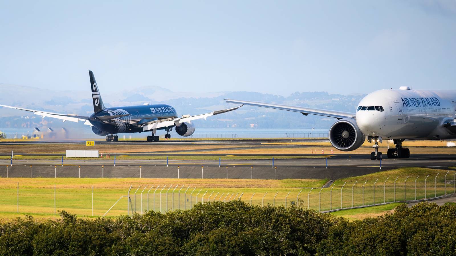 Air New Zealand Cancels Flights To 8 Long-Haul Airports: See Full List Now