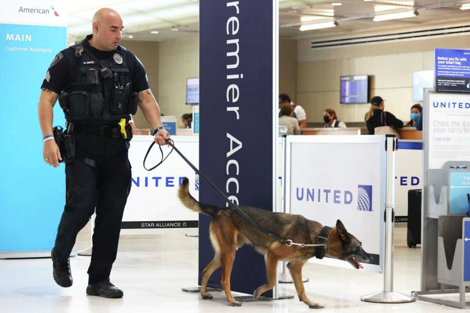 Airport K-9 at work