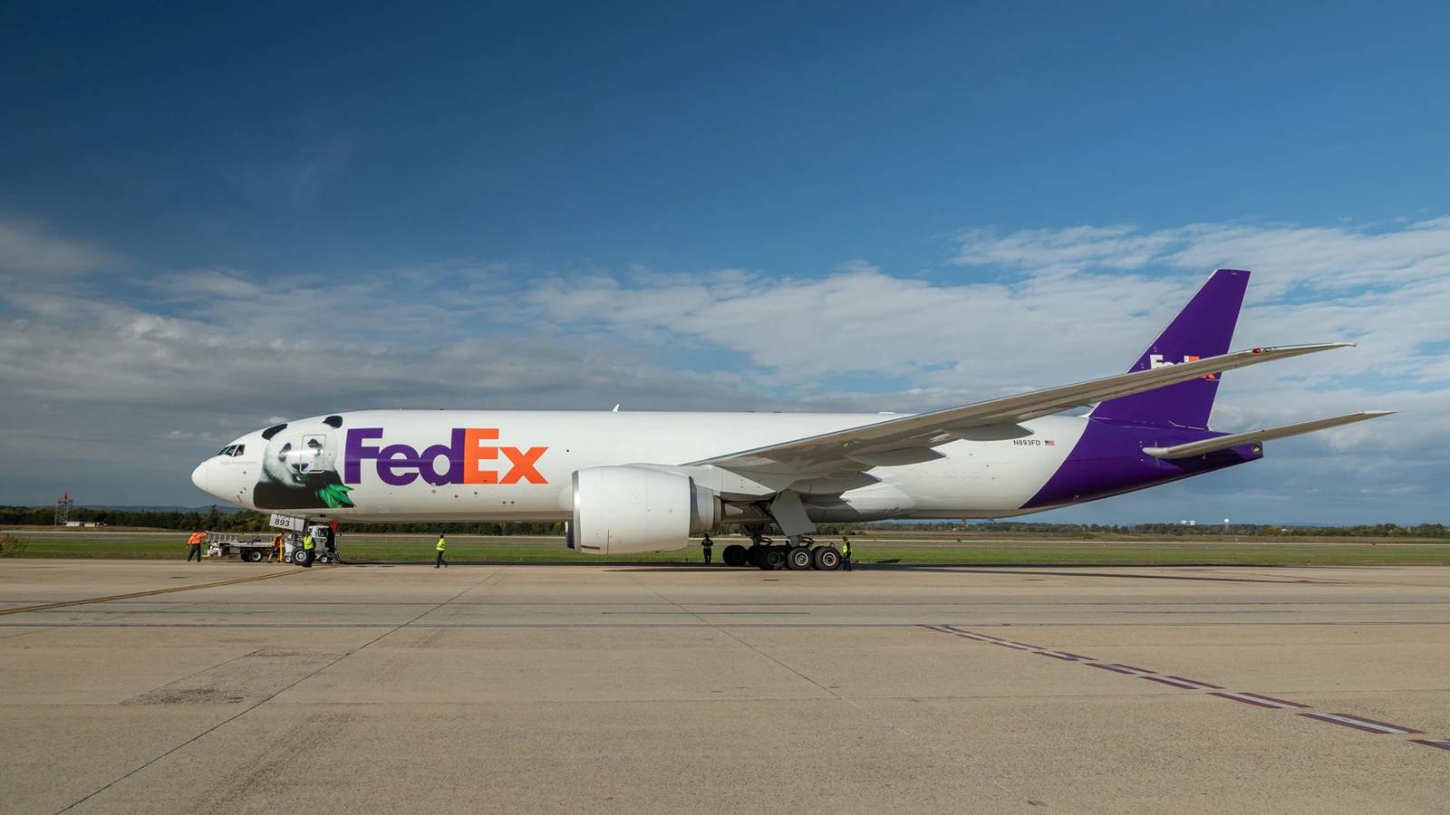 Ping Ping e Fu Shuang: Pandas Gigantes Viajam 15h da China para Zoo Atlanta
