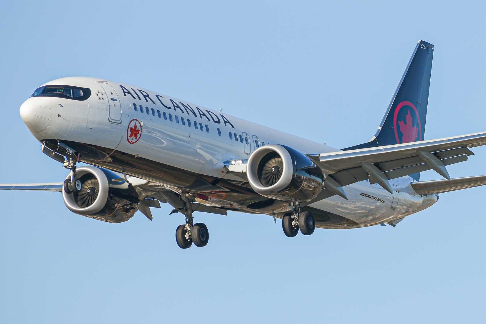 Air Canada 737 Inflight
