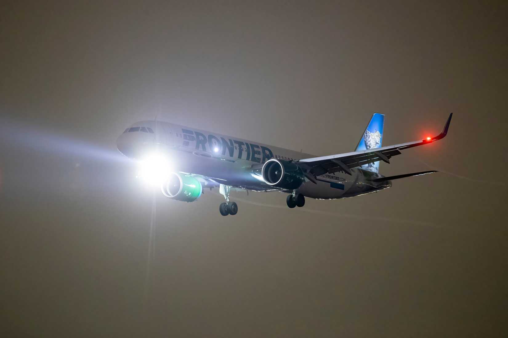 2024-11-15 Los Angeles USA A Frontier Airlines Airbus A321 landing at night, with bright landing lights and a signature wildlife-themed tail livery visible.