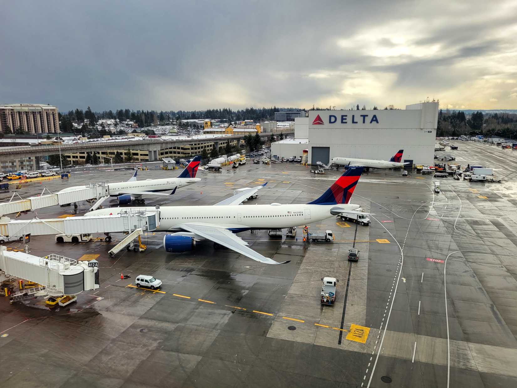 delta air lines planes at seattle-tacoma airport