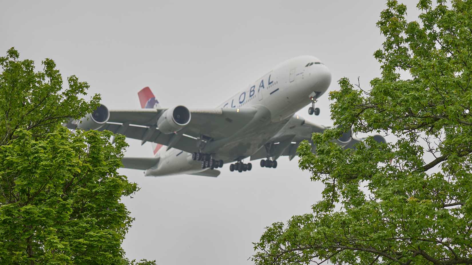Global A380 Behind Trees